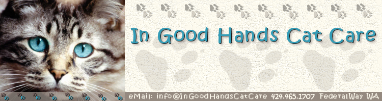 (c) In Good Hands Cat Care